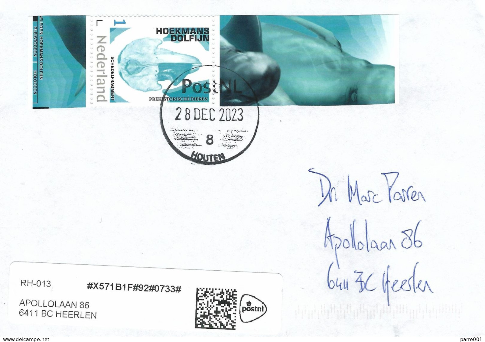 Nederland Netherlands 2023 Houten Blunt-snouted Dolphin Platalearostrum Hoekmani Pilot Whale Prehistory Cover - Walvissen