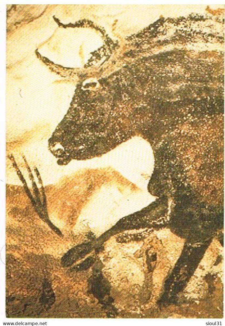 24   MONTIGNAC GROTTE DE LASCAUX  LE GRAND TAUREAU - Montignac-sur-Vézère