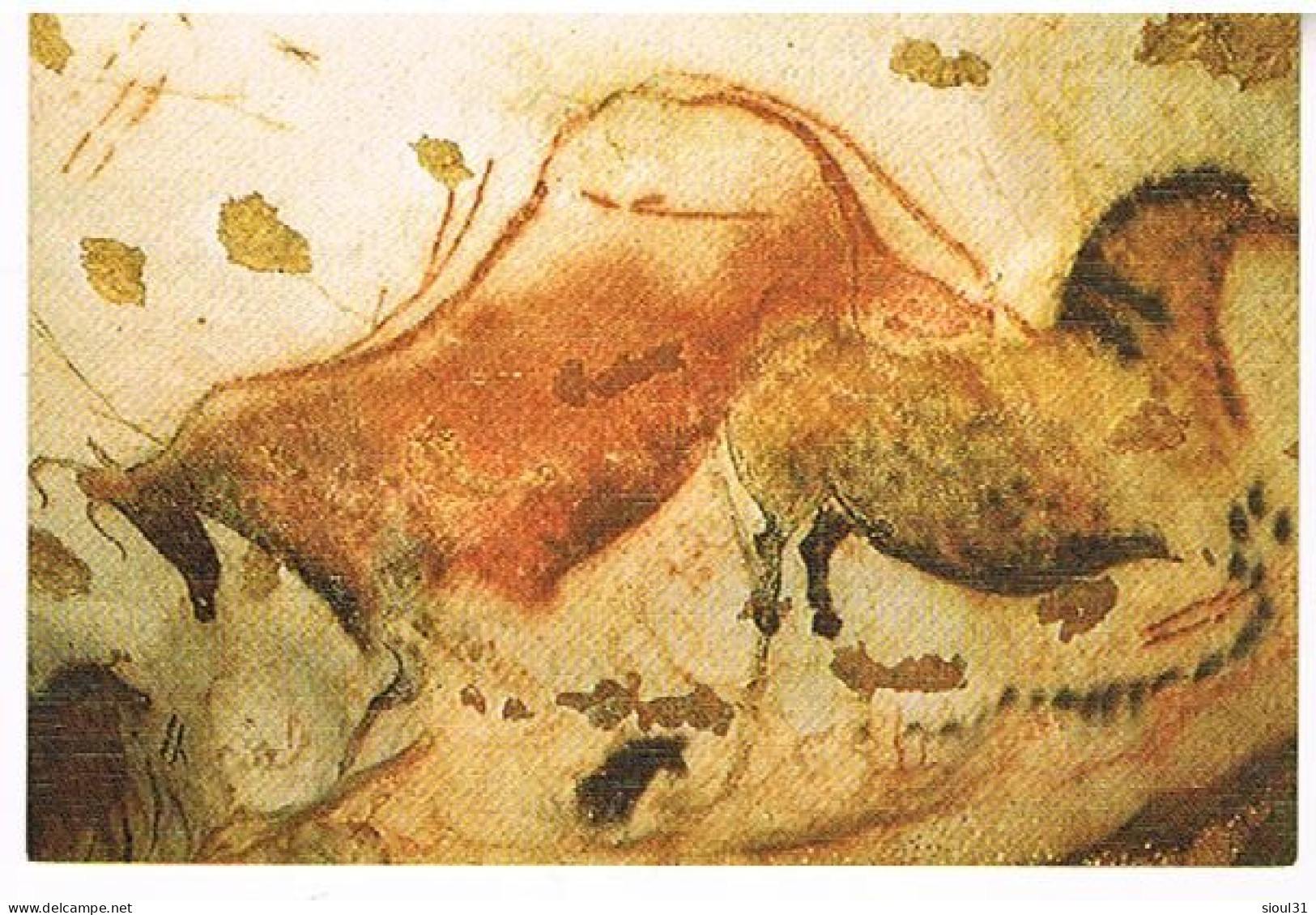 24   MONTIGNAC GROTTE DE LASCAUX  LA VACHE AUX PERLES - Montignac-sur-Vézère