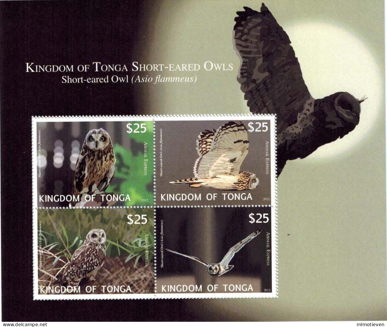 MDB-BK10-103 PPF/MNH ¤ TONGA BLOCK (RARE) ¤ BIRDS OF THE WORLD HIBOUX OWLS  OISEAUX AVES VOGELS VÖGEL - Gufi E Civette