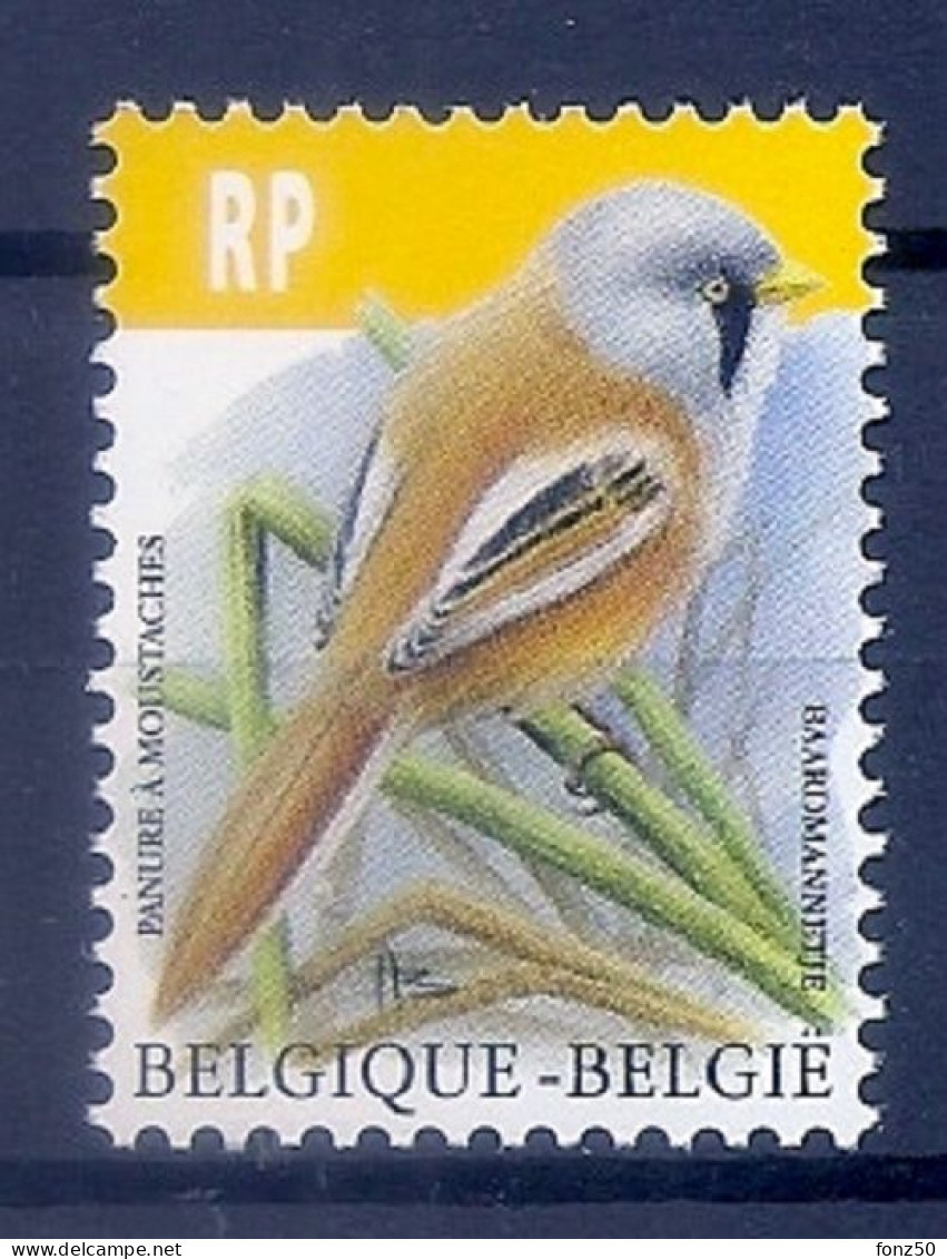 BELGIE * Buzin * Nr 4858 * Postfris Xx * WIT PAPIER - 1985-.. Vogels (Buzin)