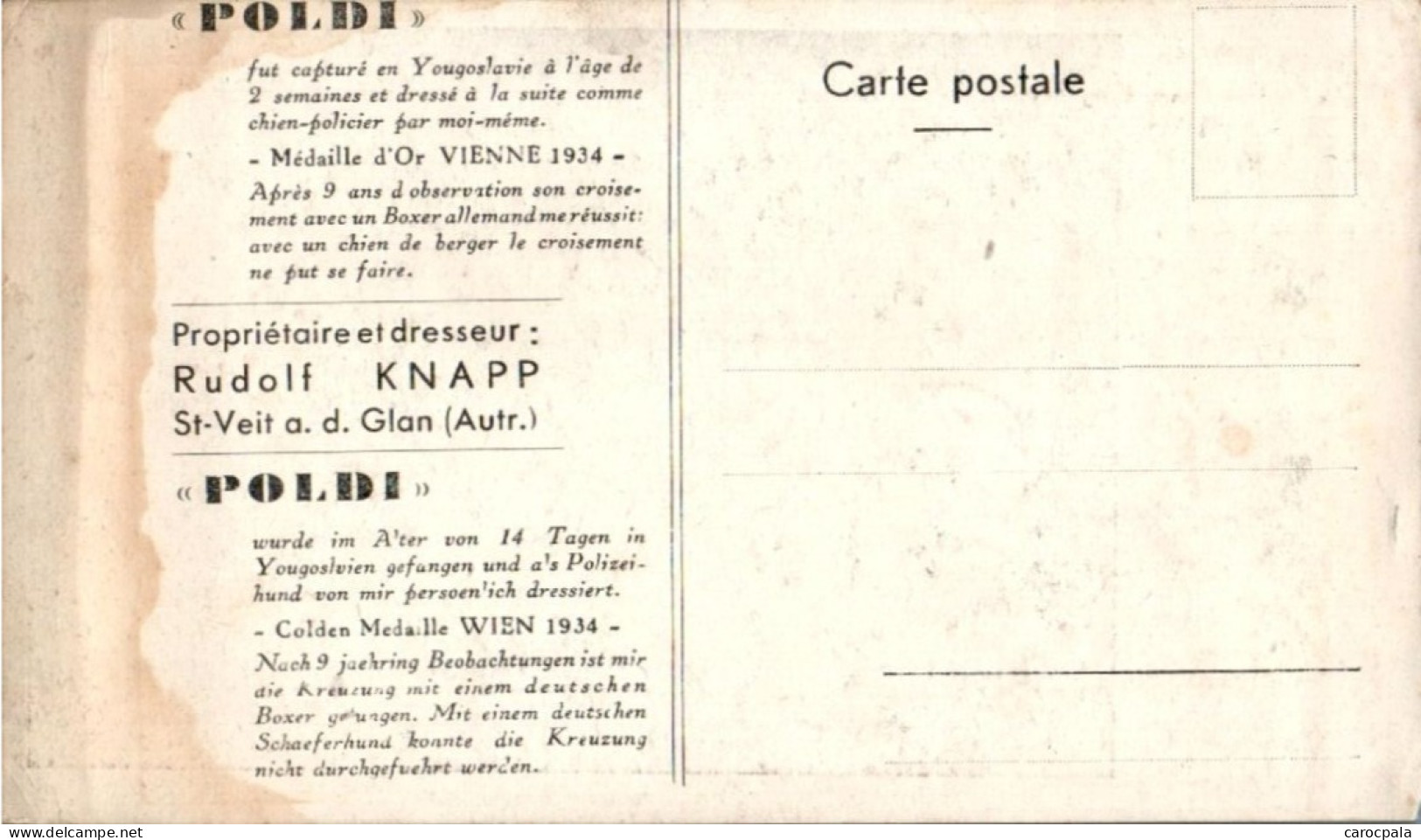 Carte Exposition Internationale De Paris 1937 : "Poldi"  Dressée En Chien Policier : Louve Avec Ses Louveteaux - Autres & Non Classés