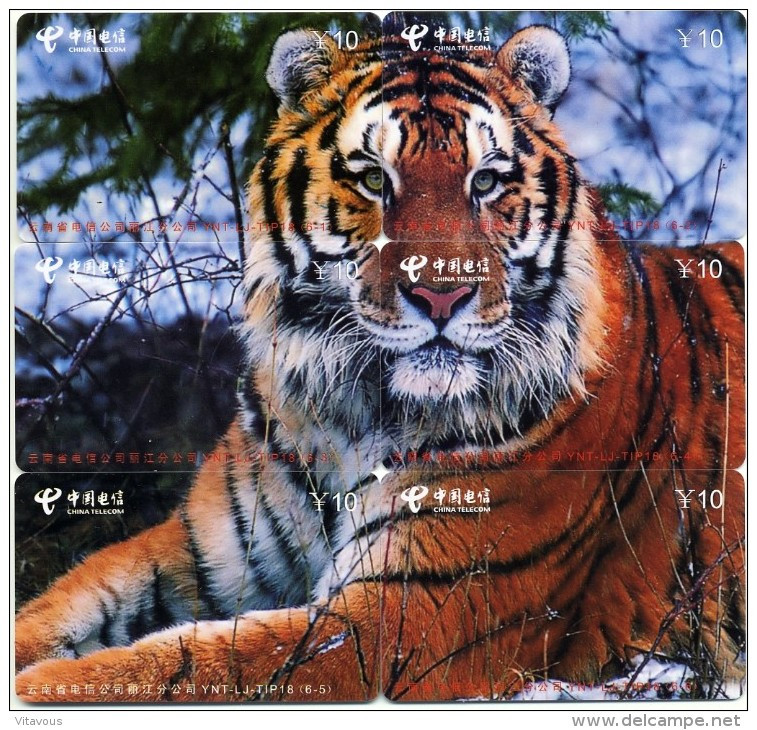 Puzzle Tigre Animal 6 Télécartes Chine  Phonecard  Telefonkarte (P 91) - Cina
