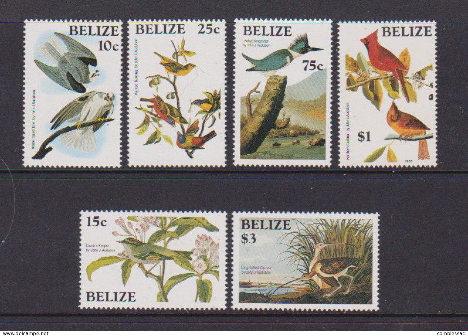 BELIZE    1985    Bird  Paintings    Part  Set  Of  6    MNH - Belize (1973-...)