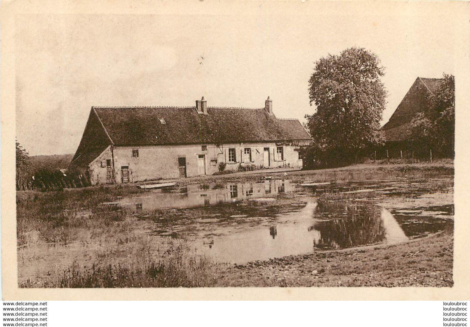 MENOU LE CROC DU LAC - Otros & Sin Clasificación