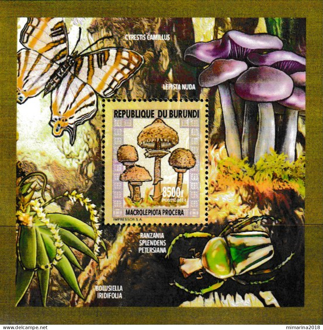 BURUNDI  2014  MNH  "MUSHROOMS" - Paddestoelen