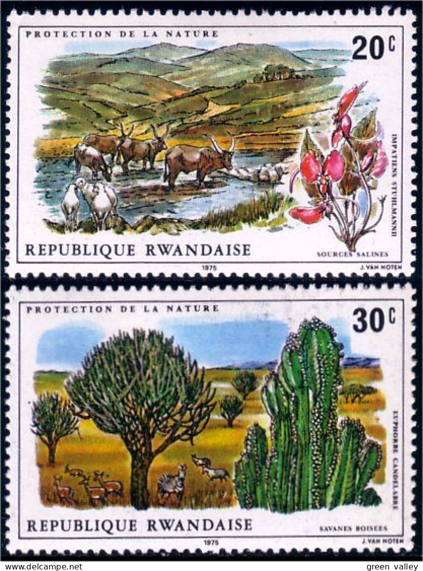 777 Rwanda Protection Nature MH * Neuf (RWA-98) - Unused Stamps