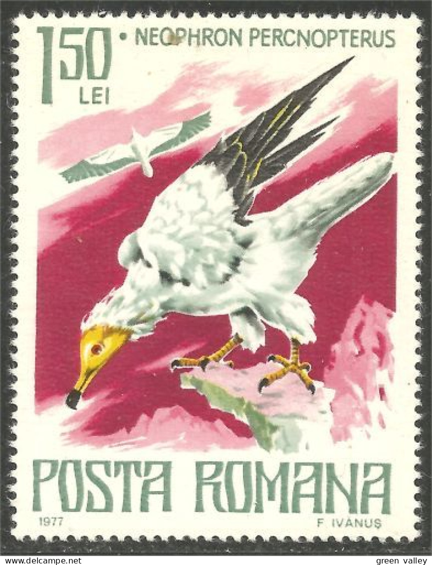 766 Roumanie Vautour Egyptian Vulture Neophron MNH ** Neuf SC (ROU-342) - Eagles & Birds Of Prey