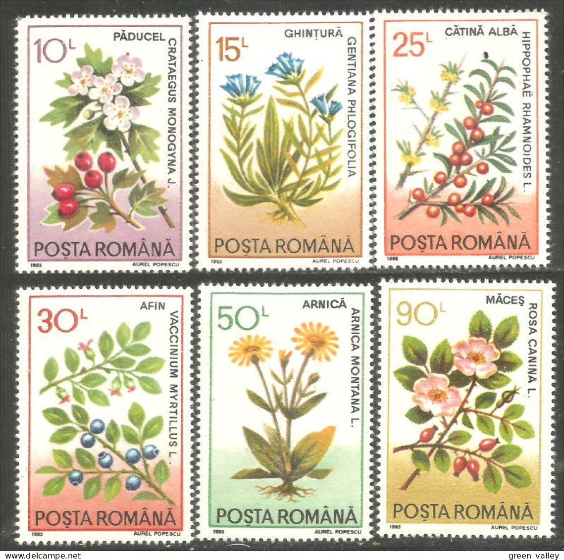 766 Roumanie Fleurs Flowers Rose Arnica Gentiane MNH ** Neuf SC (ROU-344) - Móviles (animadas)