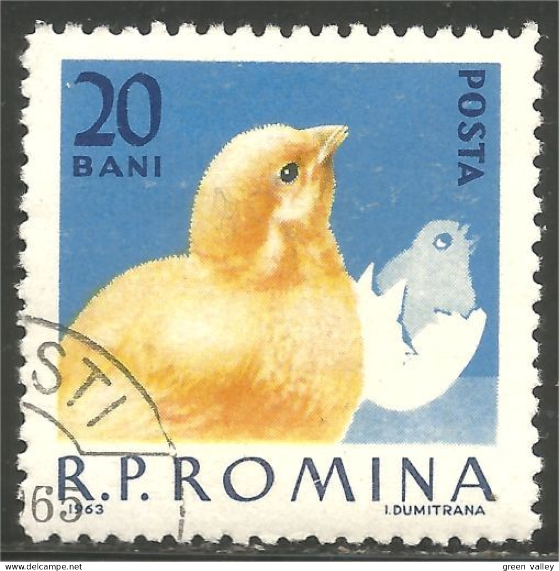 766 Roumanie Coq Rooster Hahn Haan Gallo Poule Hen Huhn Poussin Chicken (ROU-293) - Hühnervögel & Fasanen