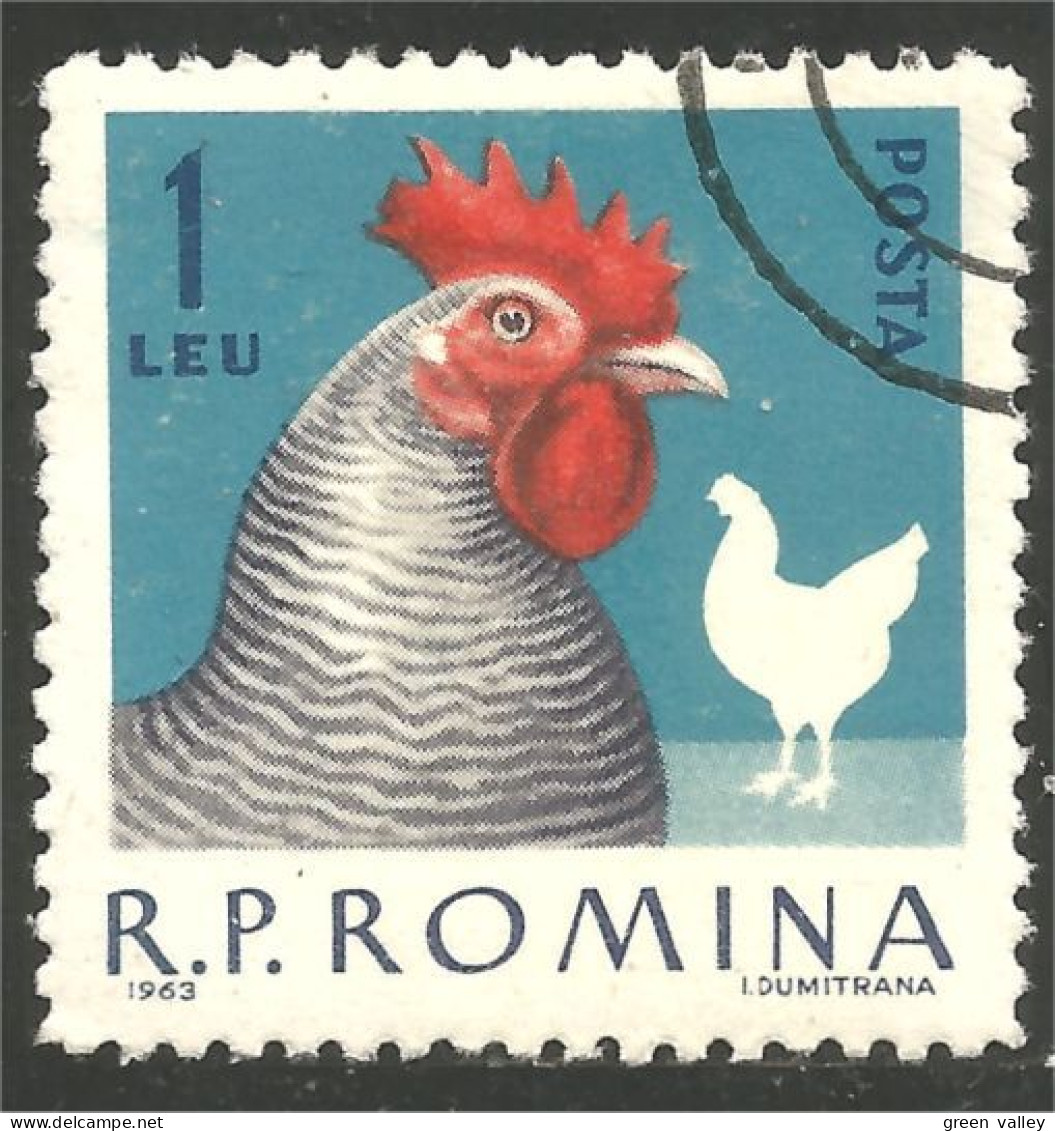 766 Roumanie Coq Rooster Hahn Haan Gallo Poule Hen Huhn (ROU-291) - Galline & Gallinaceo