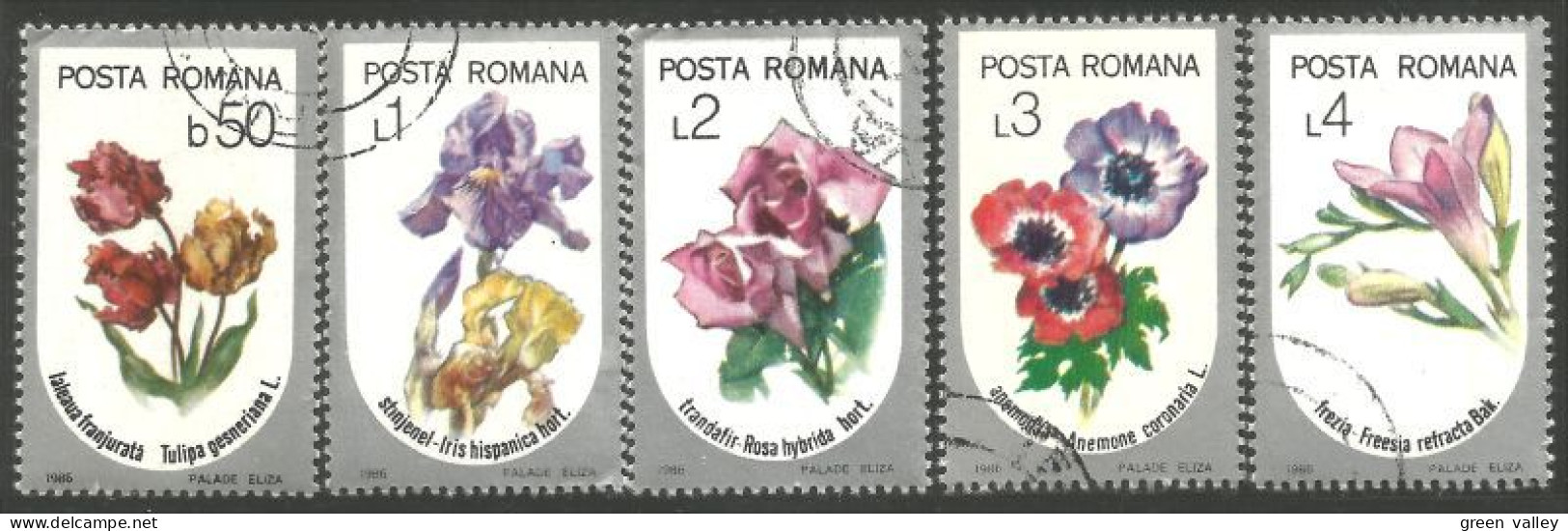 766 Roumanie Fleurs Tulipe Iris Rose Anemone Freesia Chrysanthème (ROU-247) - Autres & Non Classés
