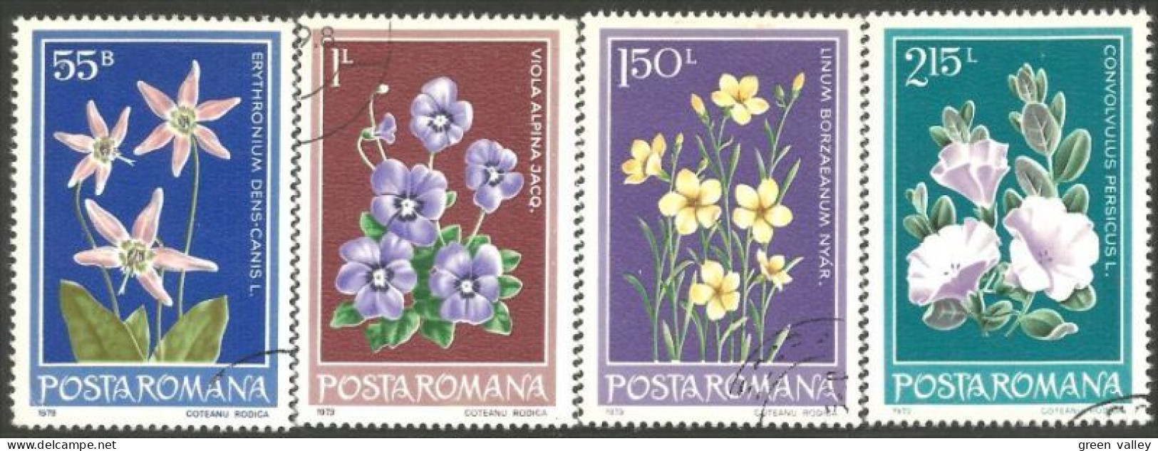 766 Roumanie Violette Violet (ROU-241) - Andere & Zonder Classificatie