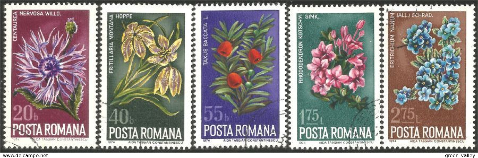 766 Roumanie Thistle Chardon Azalea Forget-me-not Myosotis Yew If Lily Lis (ROU-230) - Autres & Non Classés