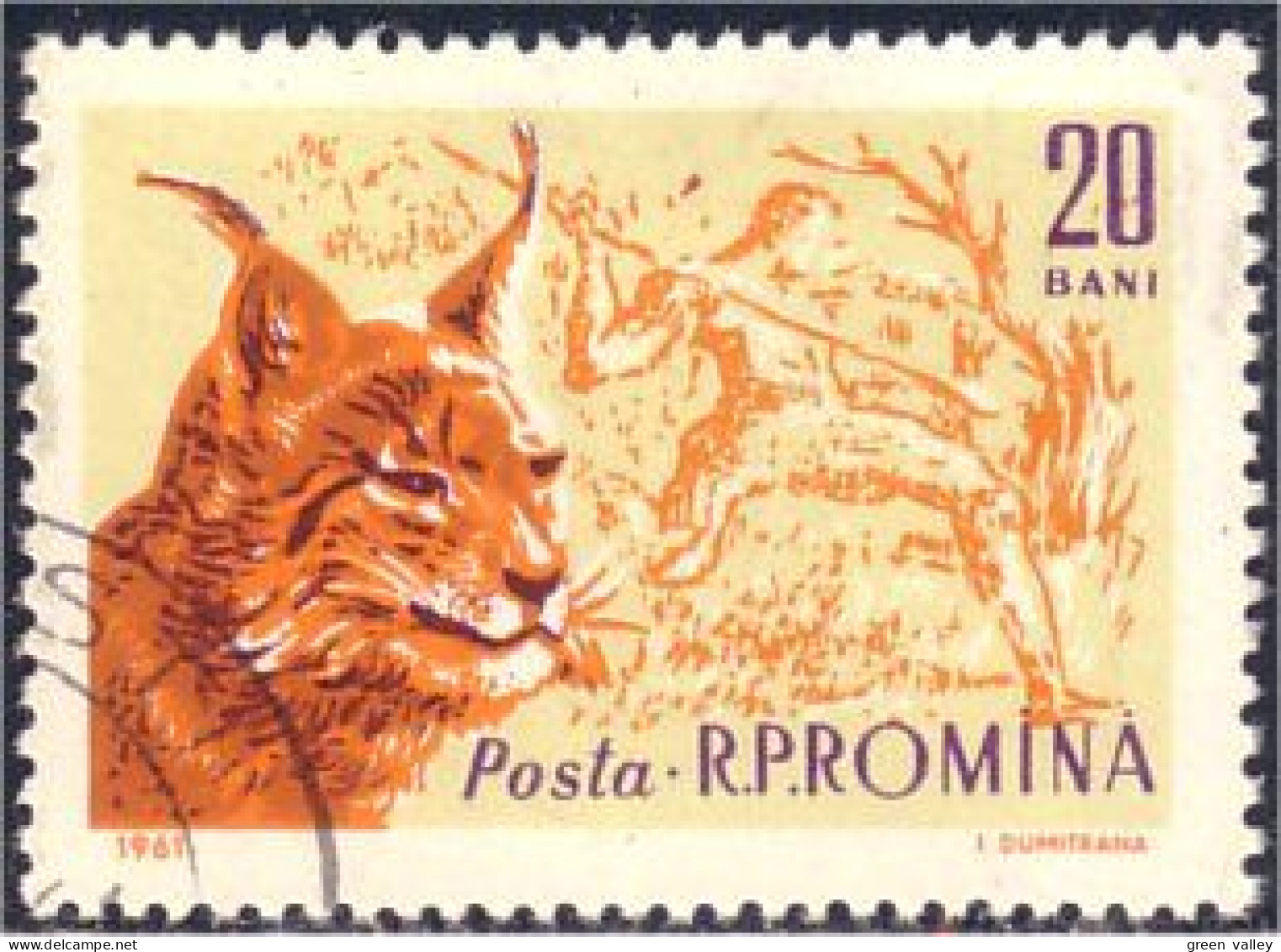 766 Roumanie Lynx (ROU-101) - Big Cats (cats Of Prey)