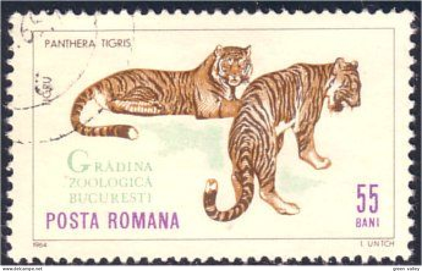 766 Roumanie Tigre Tiger Tigger (ROU-104) - Big Cats (cats Of Prey)