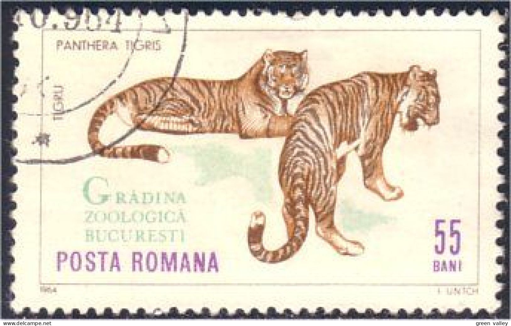 766 Roumanie Tigre Tiger Tigger (ROU-103) - Felinos