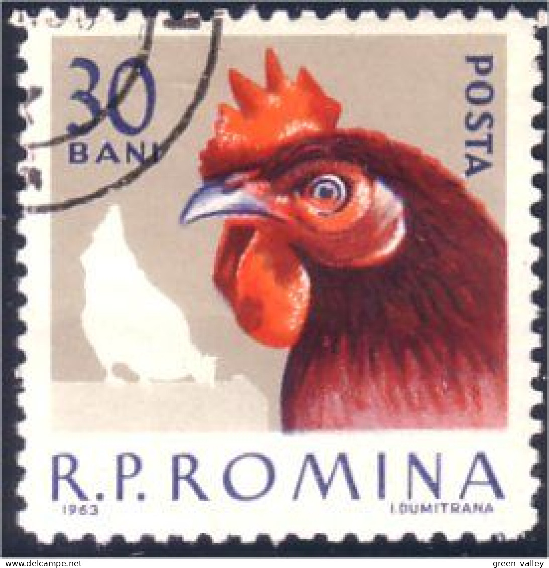 766 Roumanie Coq Cock Rooster Huhn Poule Hen Hahn (ROU-24) - Gallinacées & Faisans