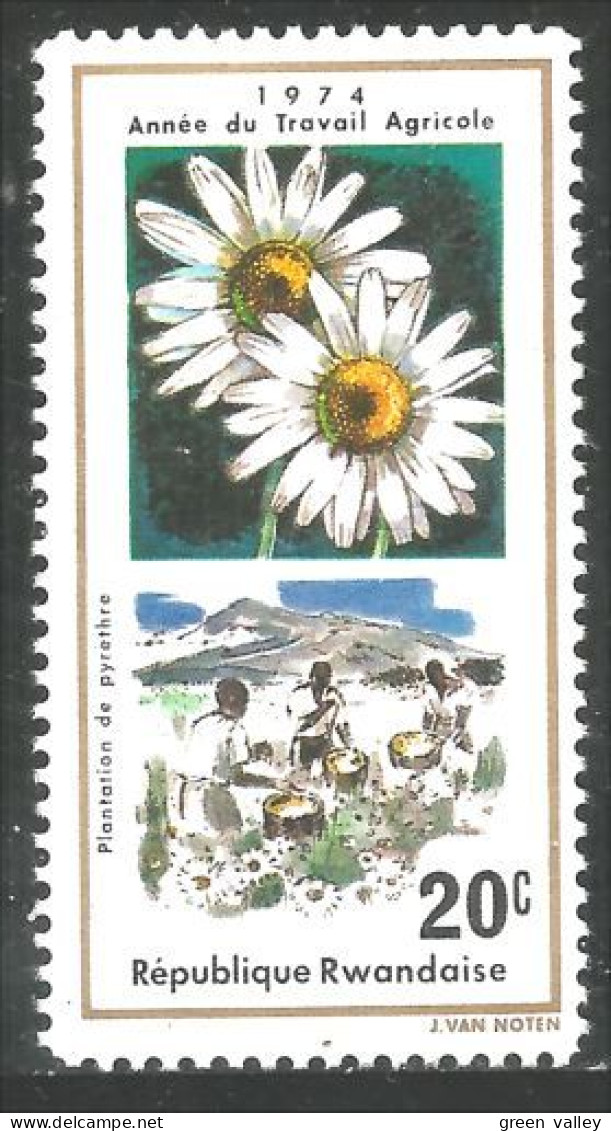 777 Rwanda Plantation De Pyrèthre Tanaisie Marguerite MNH ** Neuf SC (RWA-253) - Unused Stamps