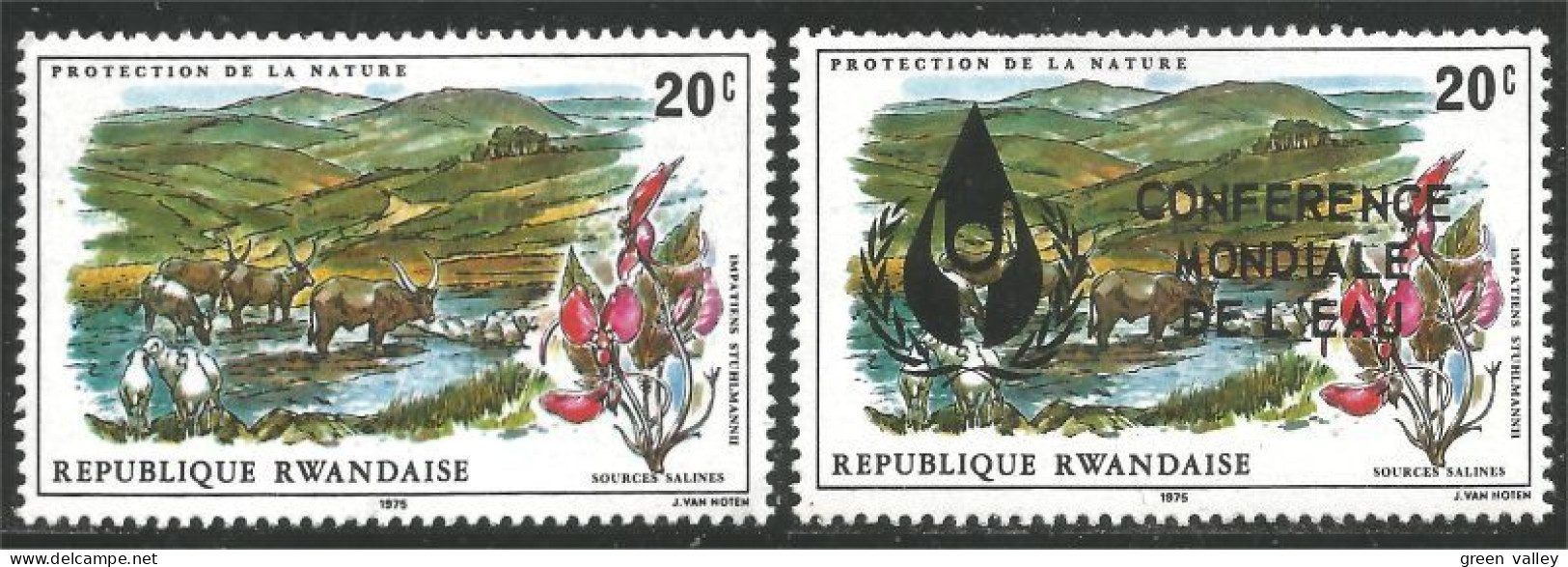777 Rwanda Protection Nature Surcharge CONFERENCE MONDIALE DE L'EAU MNH ** Neuf SC (RWA-251) - Unused Stamps