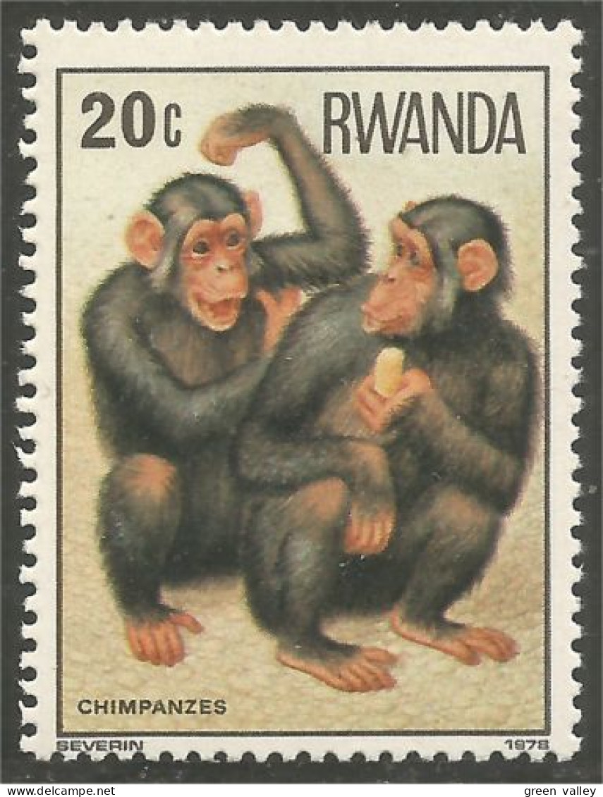 777 Rwanda Singe Monkey Affe Scimmia Chimpanzé Chimpanzee Aap Mono MNH ** Neuf SC (RWA-237c) - Apen