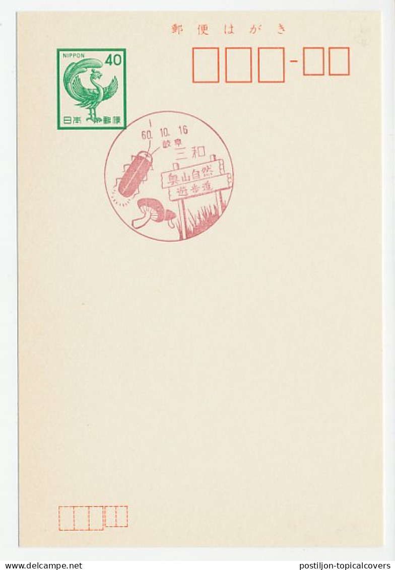 Postcard / Postmark Japan Mushroom - Beetle - Pilze