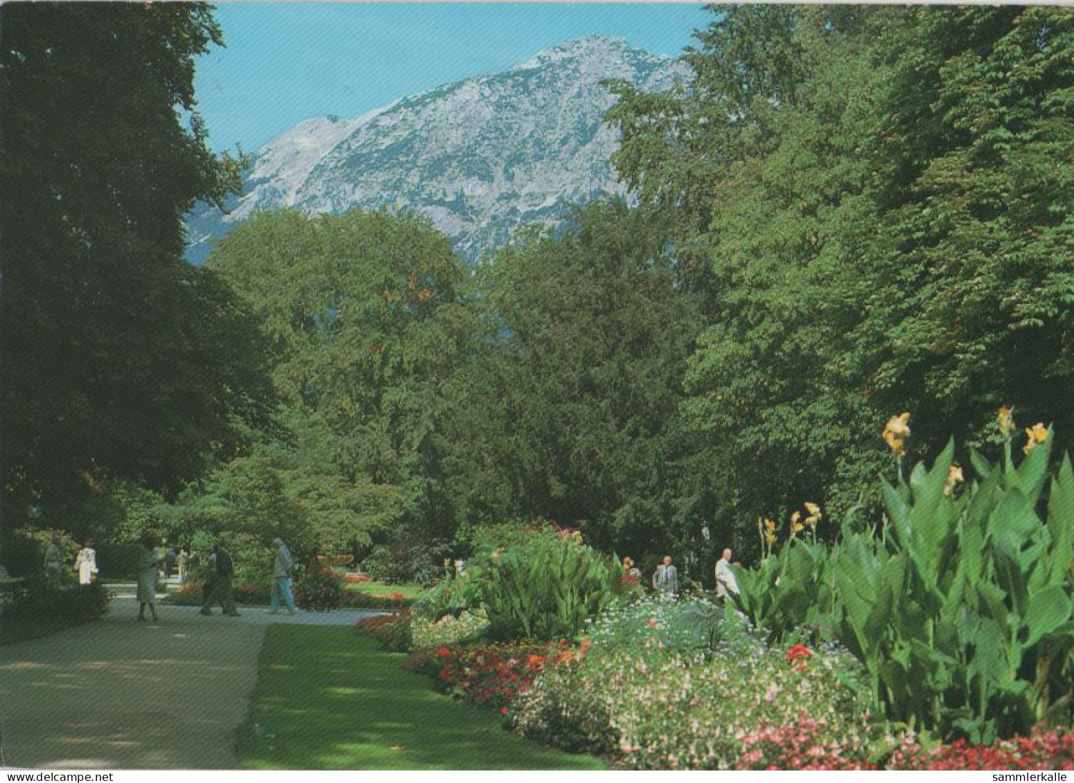 30249 - Bad Reichenhall - Kurpark - 1990 - Bad Reichenhall