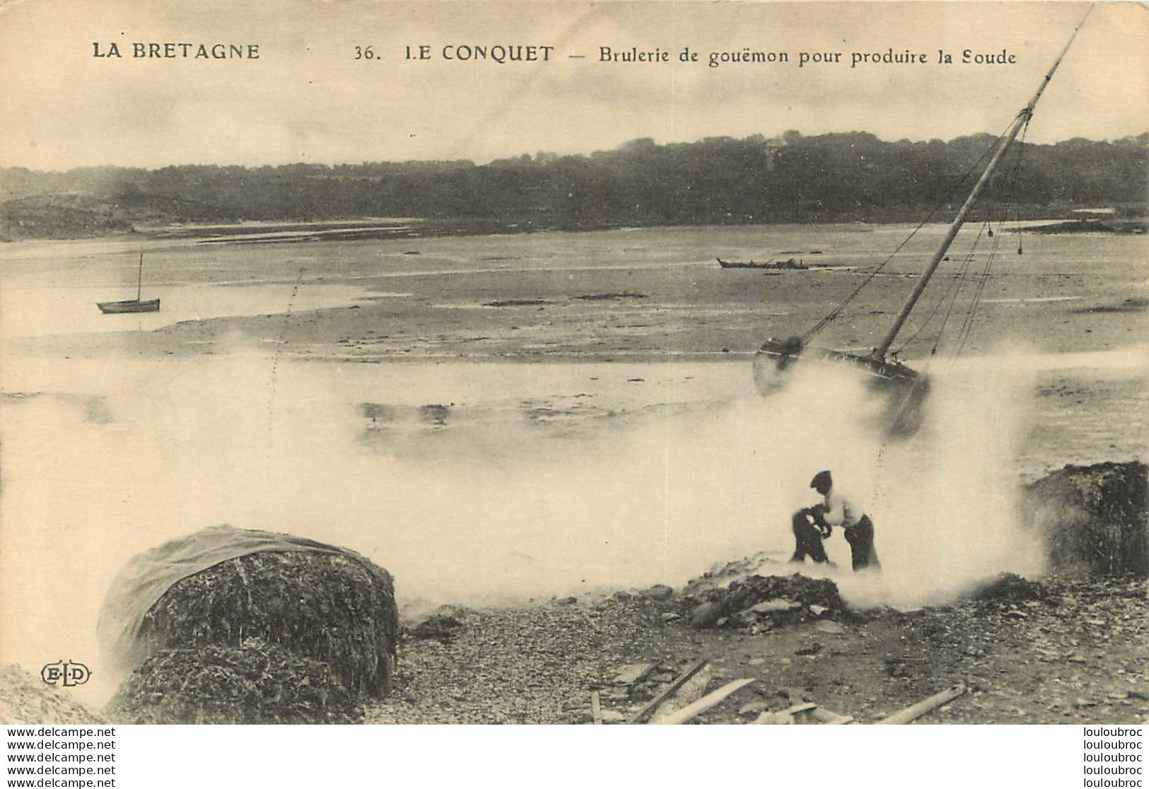 LE CONQUET BRULERIE DE  GOUEMON POUR PRODUIRE LA SOUDE - Le Conquet