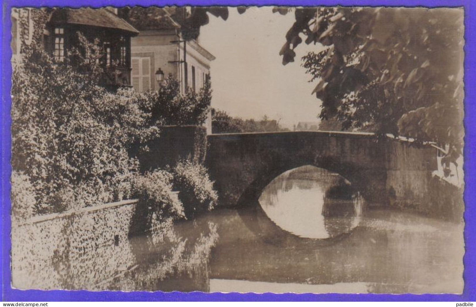 Carte Postale 28. Bonneval  Le Pont De La Grève  Très Beau Plan - Bonneval