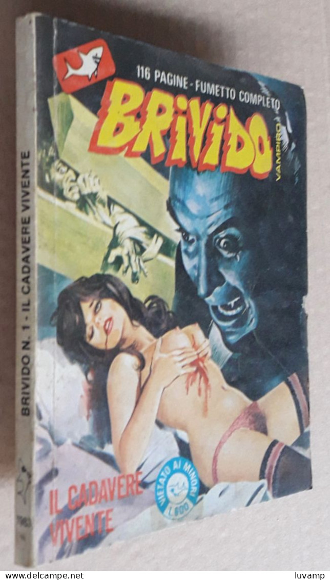 BRIVIDO COLLANA VAMPIRO NUOVA SERIE EDIFUMETTO  N. 1 DEL  LUGLIO 1983 - Andere & Zonder Classificatie