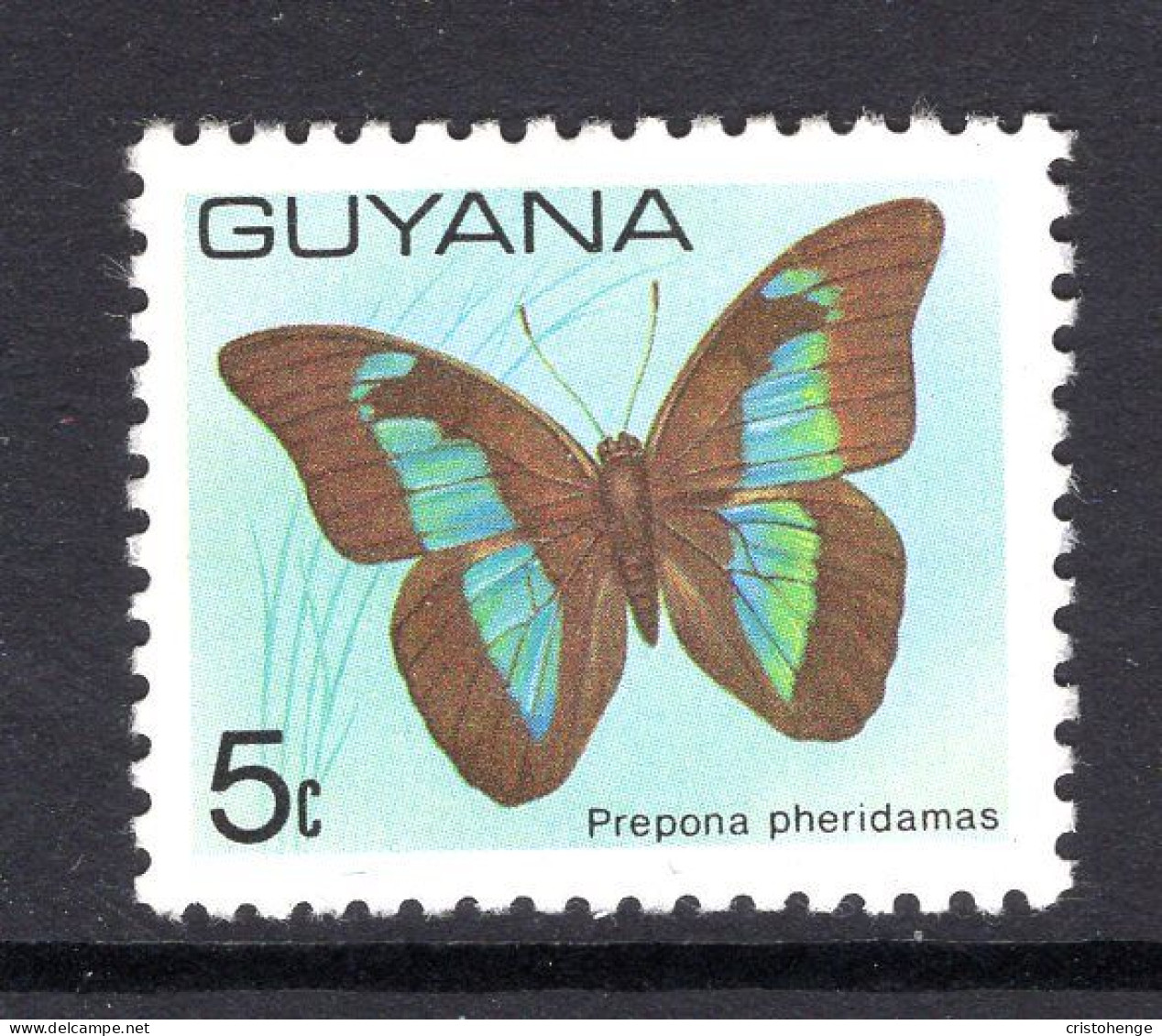 Guyana 1978-80 Butterflies - 5c Value HM (SG 698) - Guyana (1966-...)