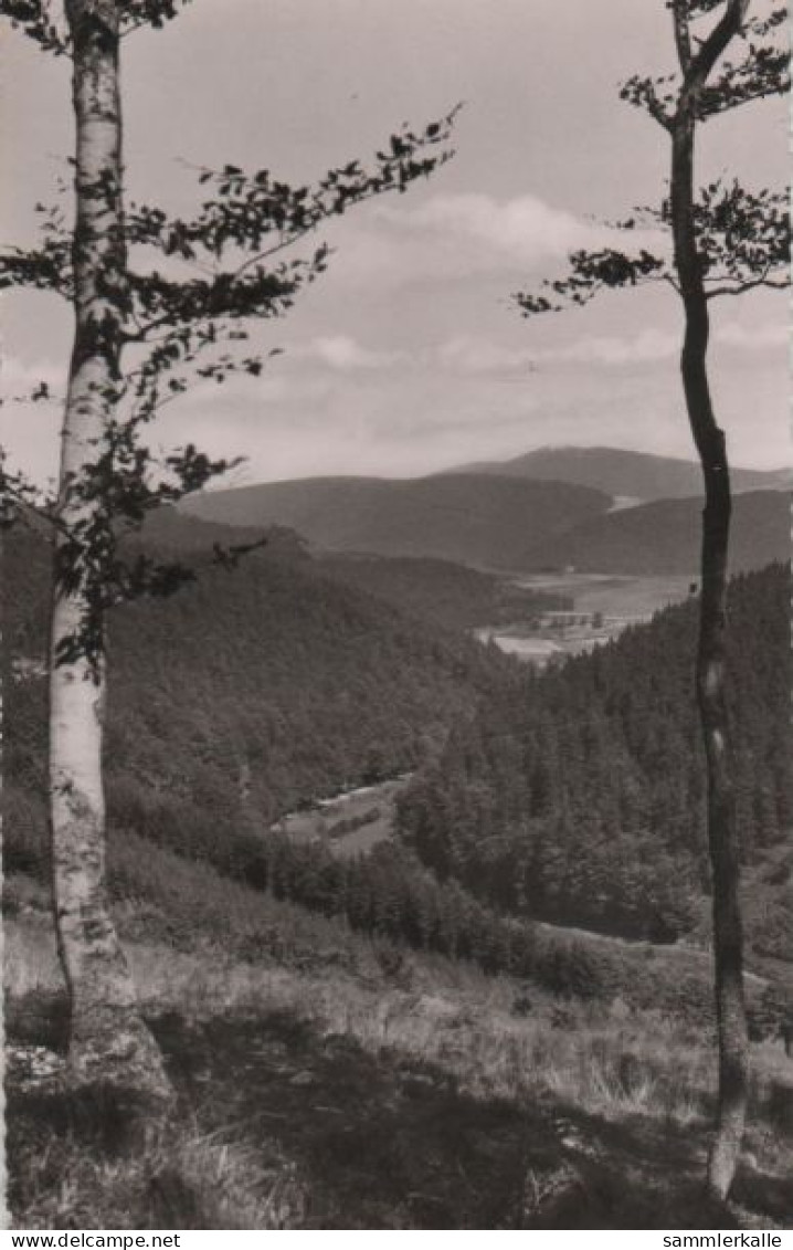 58757 - Willingen-Schwalefeld - Schwalefelder Tal - 1958 - Waldeck