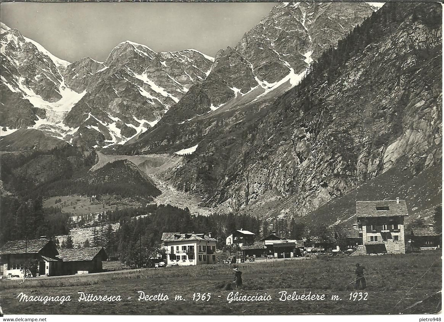 Pecetto Fraz. Di Macugnaga (Verbania) Albergo Ristorante "Signal", Monte Rosa E Cima Jazzi Sul Fondo - Verbania