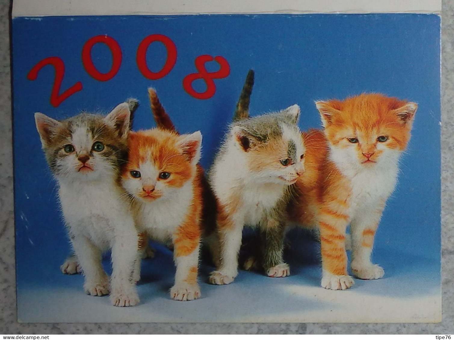 Petit Calendrier De Poche 2008 Chat Chaton  - Givet Ardennes - Petit Format : 2001-...