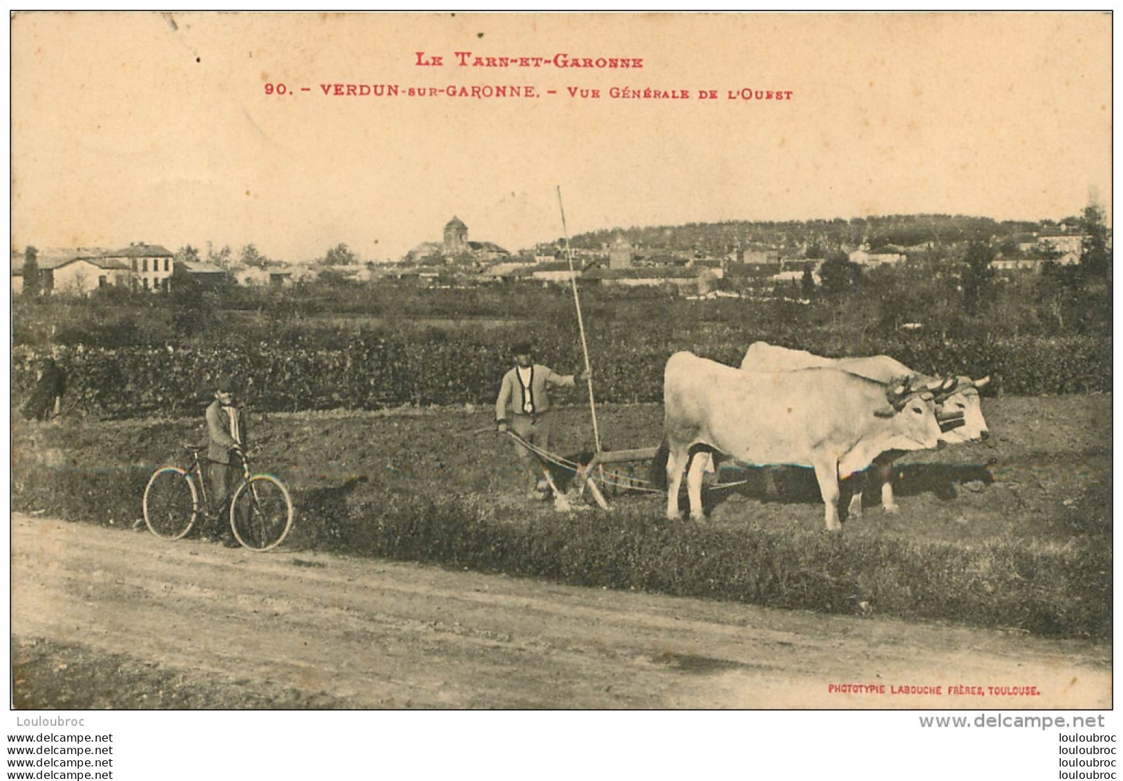VERDUN SUR GARONNE  VUE GENERALE DE L'OUEST ATTELAGE DE BOEUF - Verdun Sur Garonne