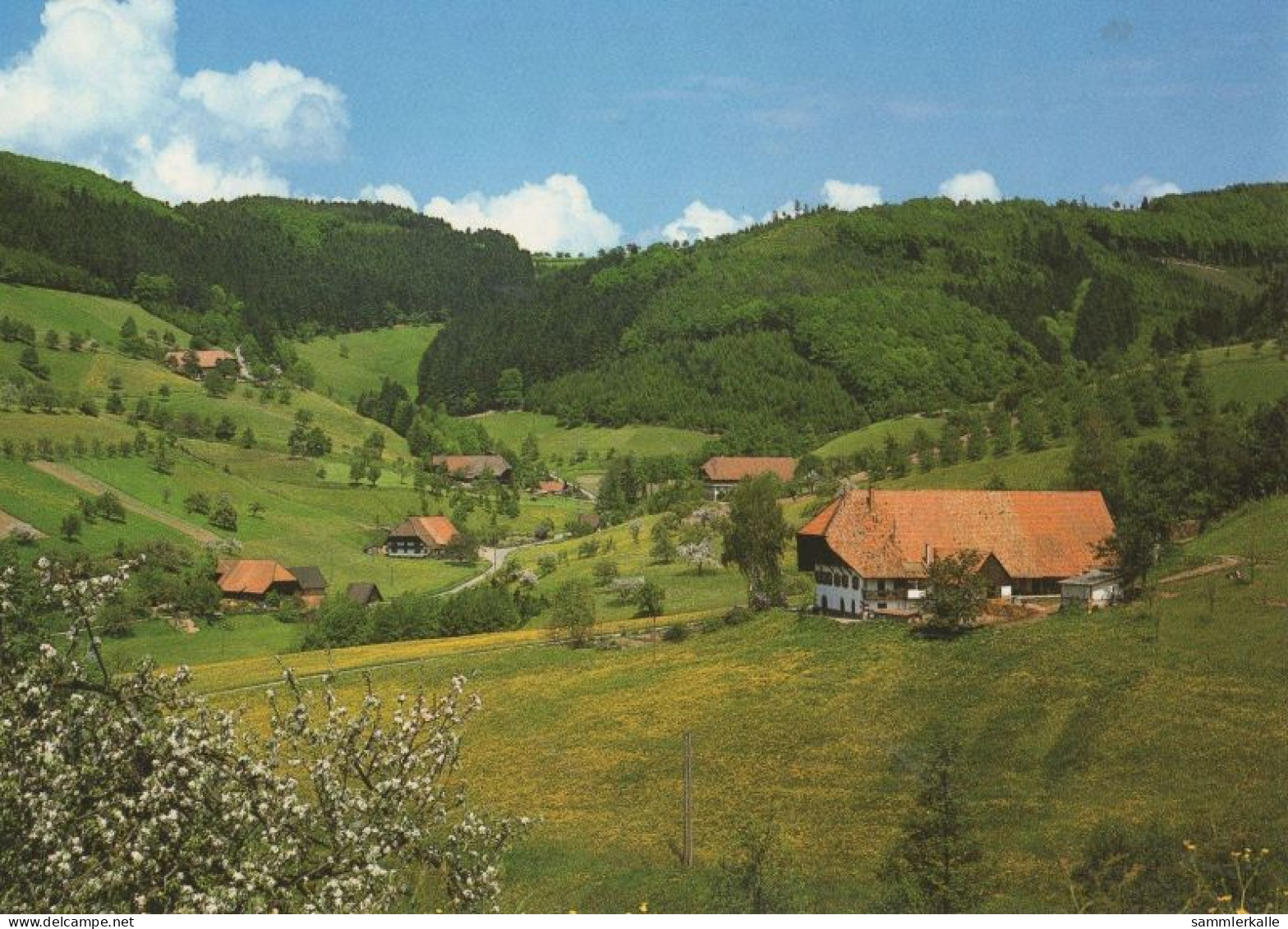 133009 - Zell - Oberentsersbach - Offenburg