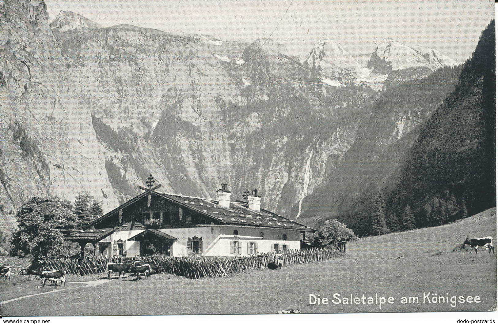 PC40163 Die Saletalpe Am Konigsee. J. Huttegger. No 493. B. Hopkins - World