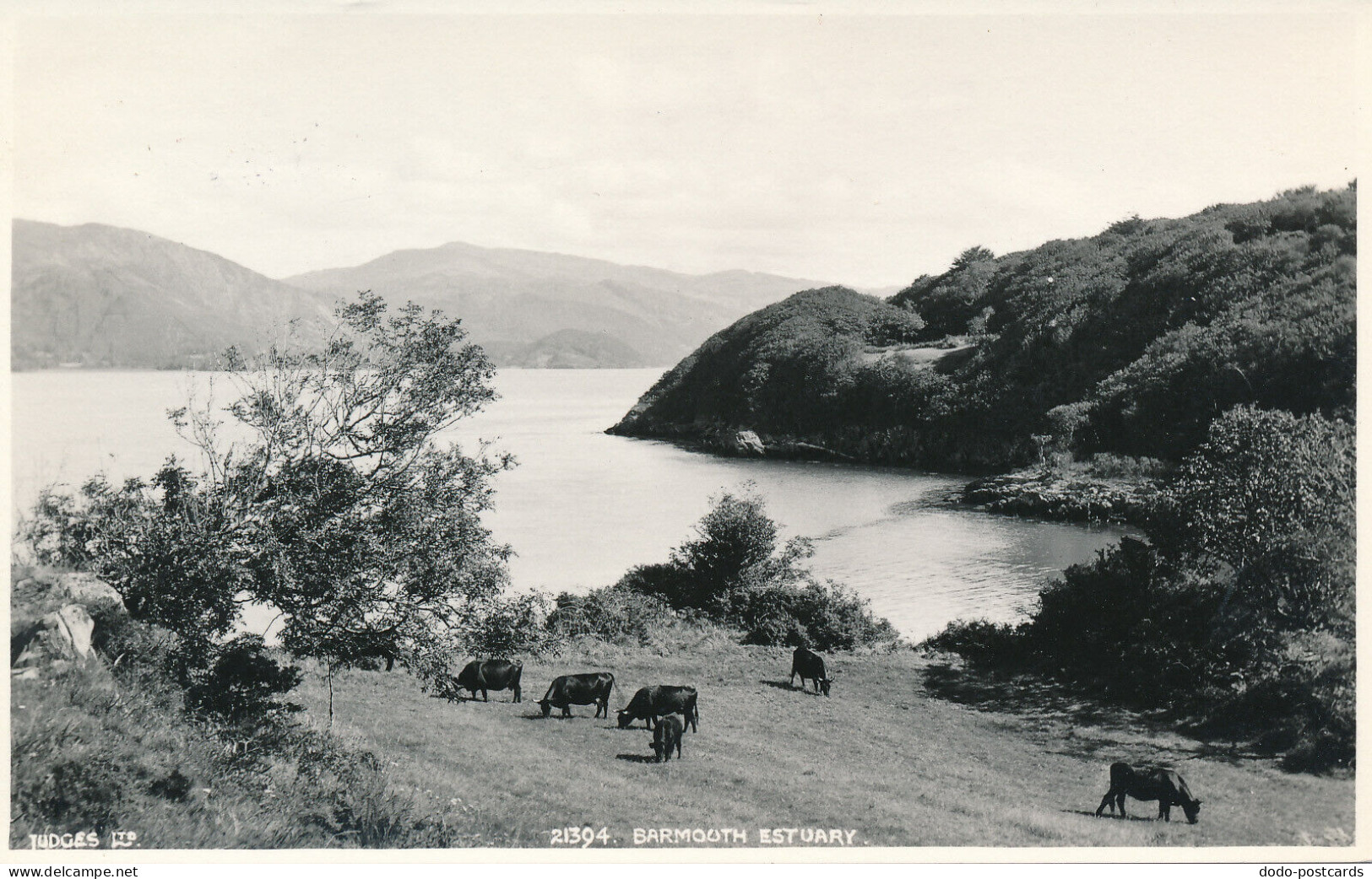 PC41452 Barmouth Estuary. Judges Ltd. No 21394 - World