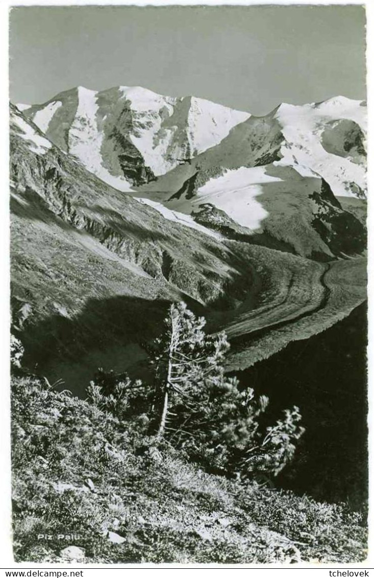 (99). Suisse. Grisons. Grischun Piz Bernina Roseg Sellagruppe Oblit Leysin 1957 Glacier ! & Pontressina 1956 - Autres & Non Classés