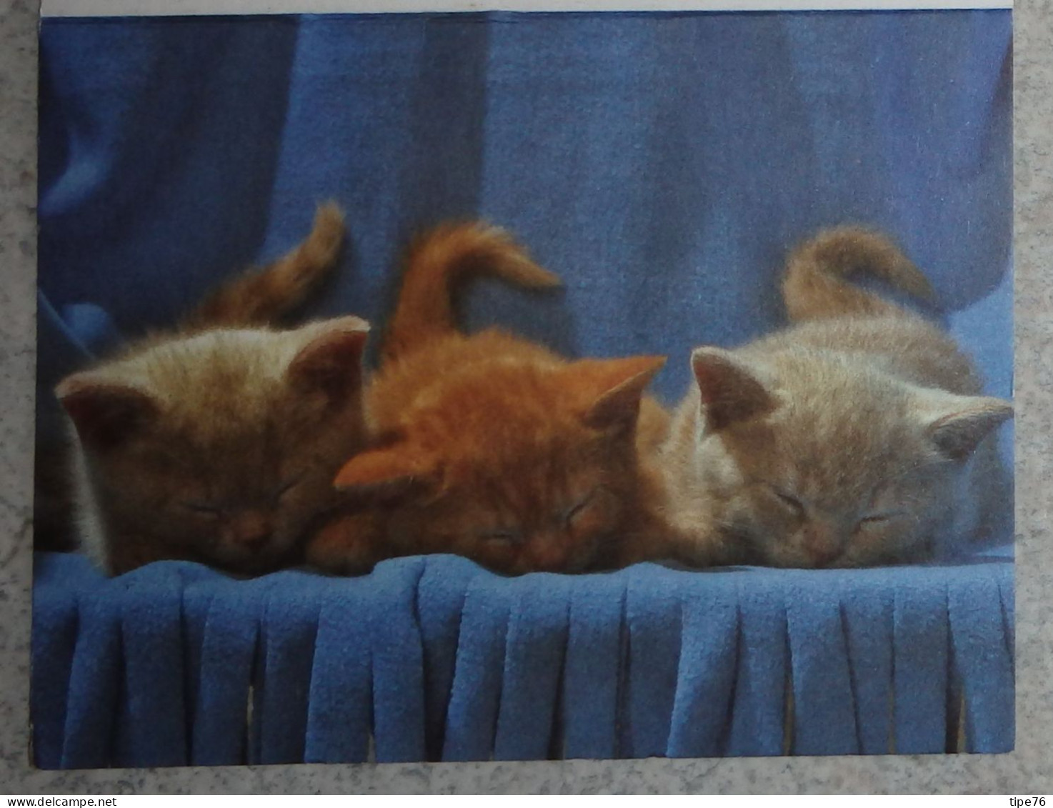 Petit Calendrier De Poche 2011 Chat Chaton  - Prunay Le Gillon Eure Et Loir - Petit Format : 2001-...