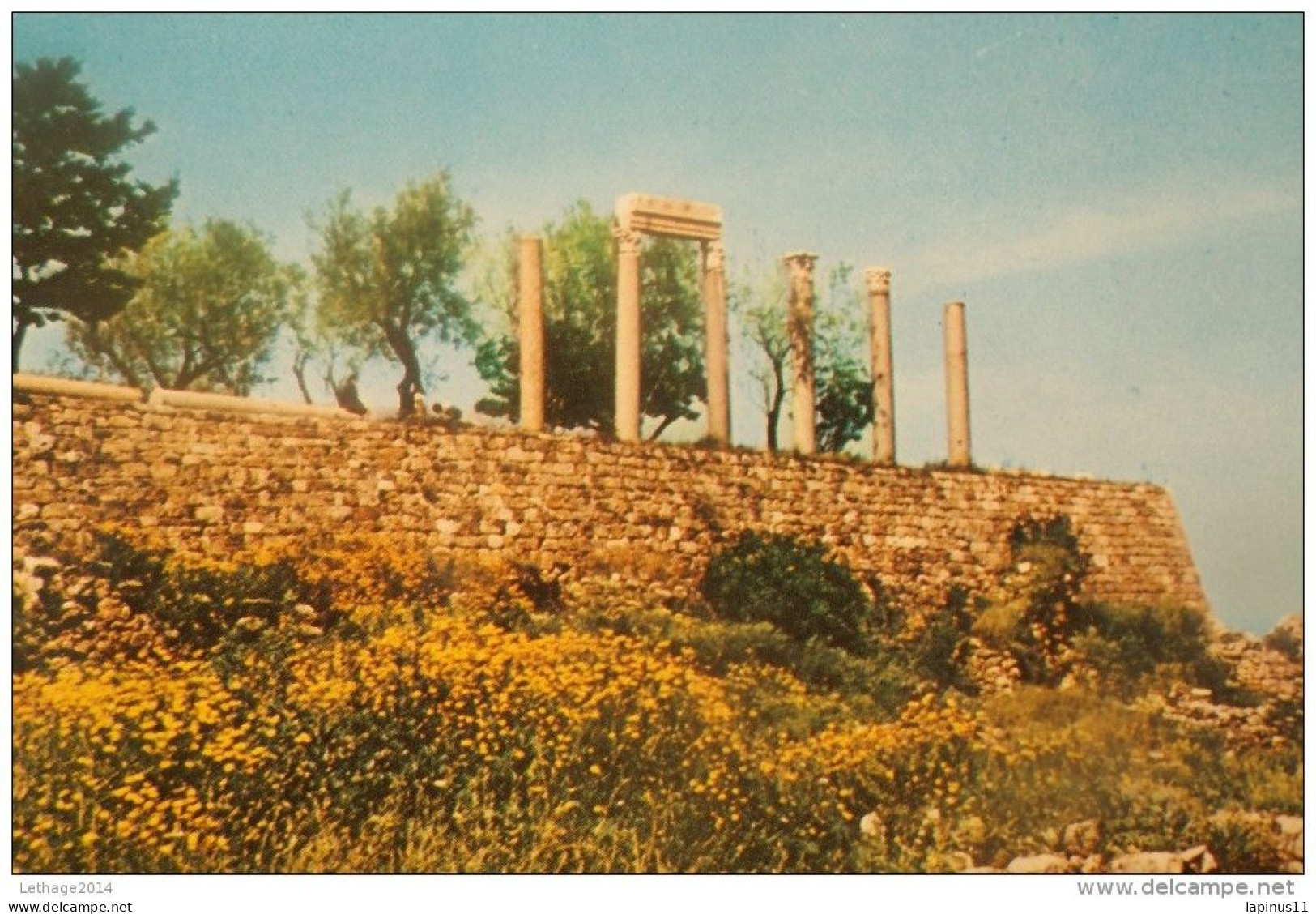 LIBAN - LEBANON BYBLOS (JBEIL ) GRECO.ROMAN COLUMNS - Líbano