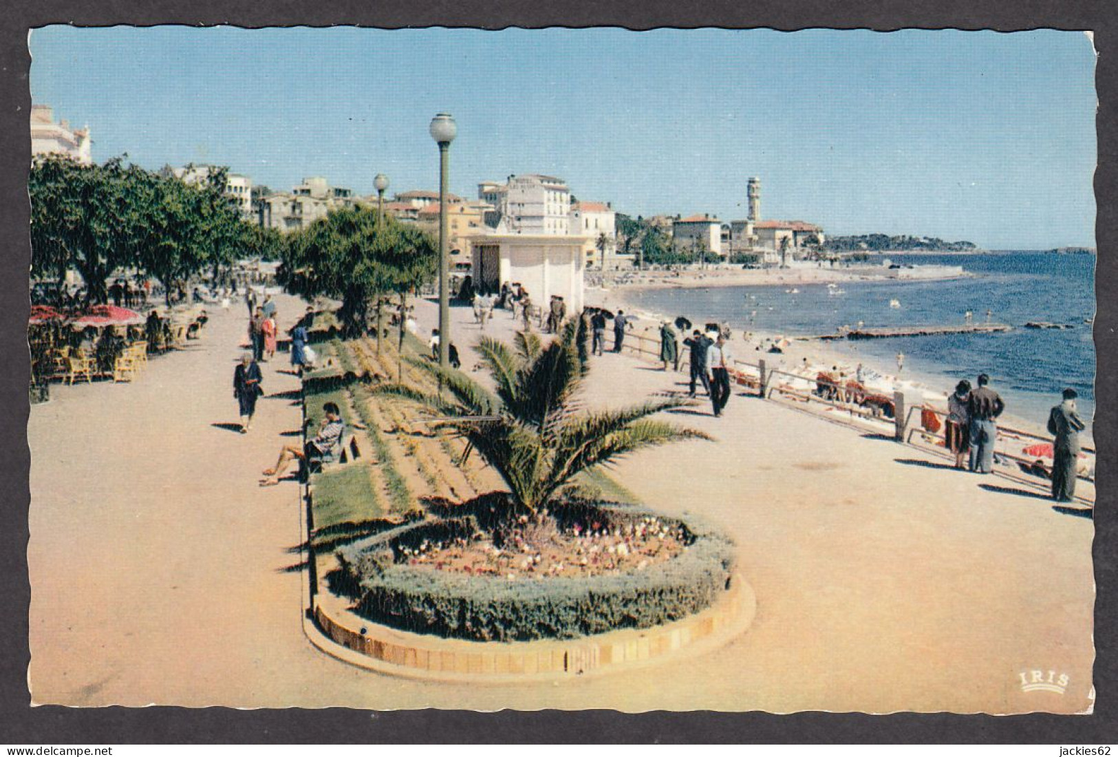 088424/ SAINT-RAPHAËL, La Promenade Du Bord De Mer - Saint-Raphaël