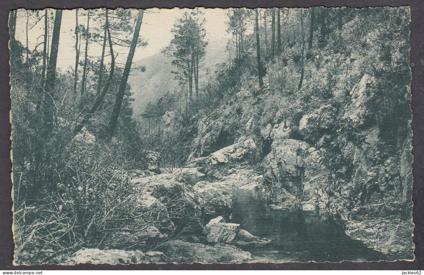 123092/ SAINT-RAPHAËL, Estérel, Dans Le Mal Infernet - Saint-Raphaël