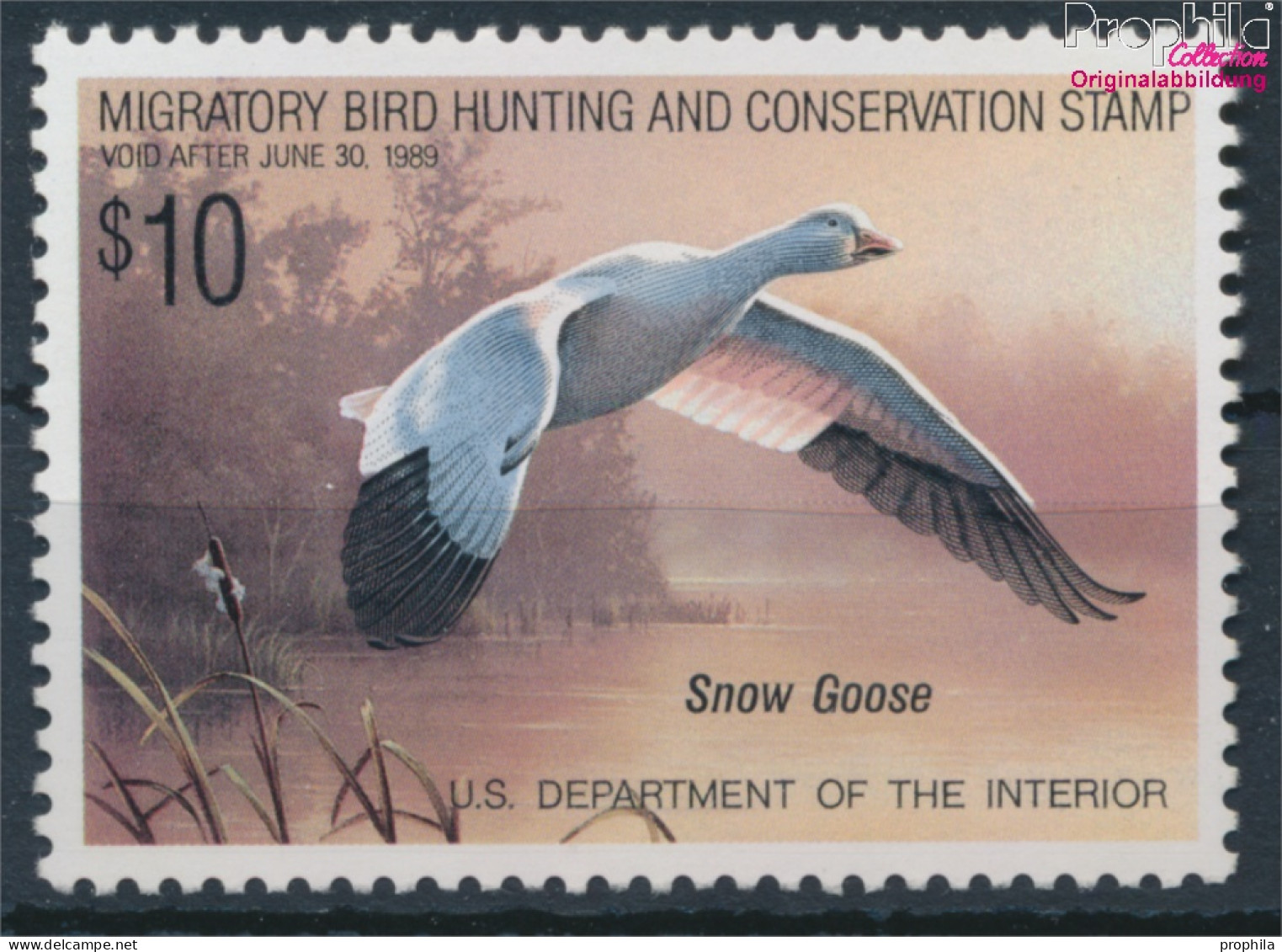 USA DS1988 Postfrisch 1988 Duck Stamp (10348535 - Ungebraucht