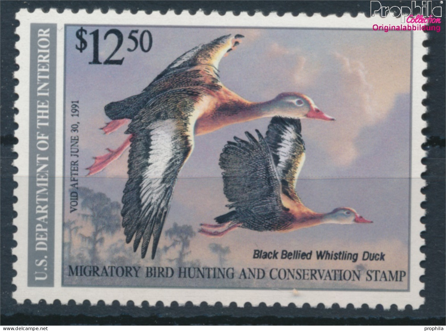 USA DS1990 Postfrisch 1990 Duck Stamp (10348533 - Unused Stamps