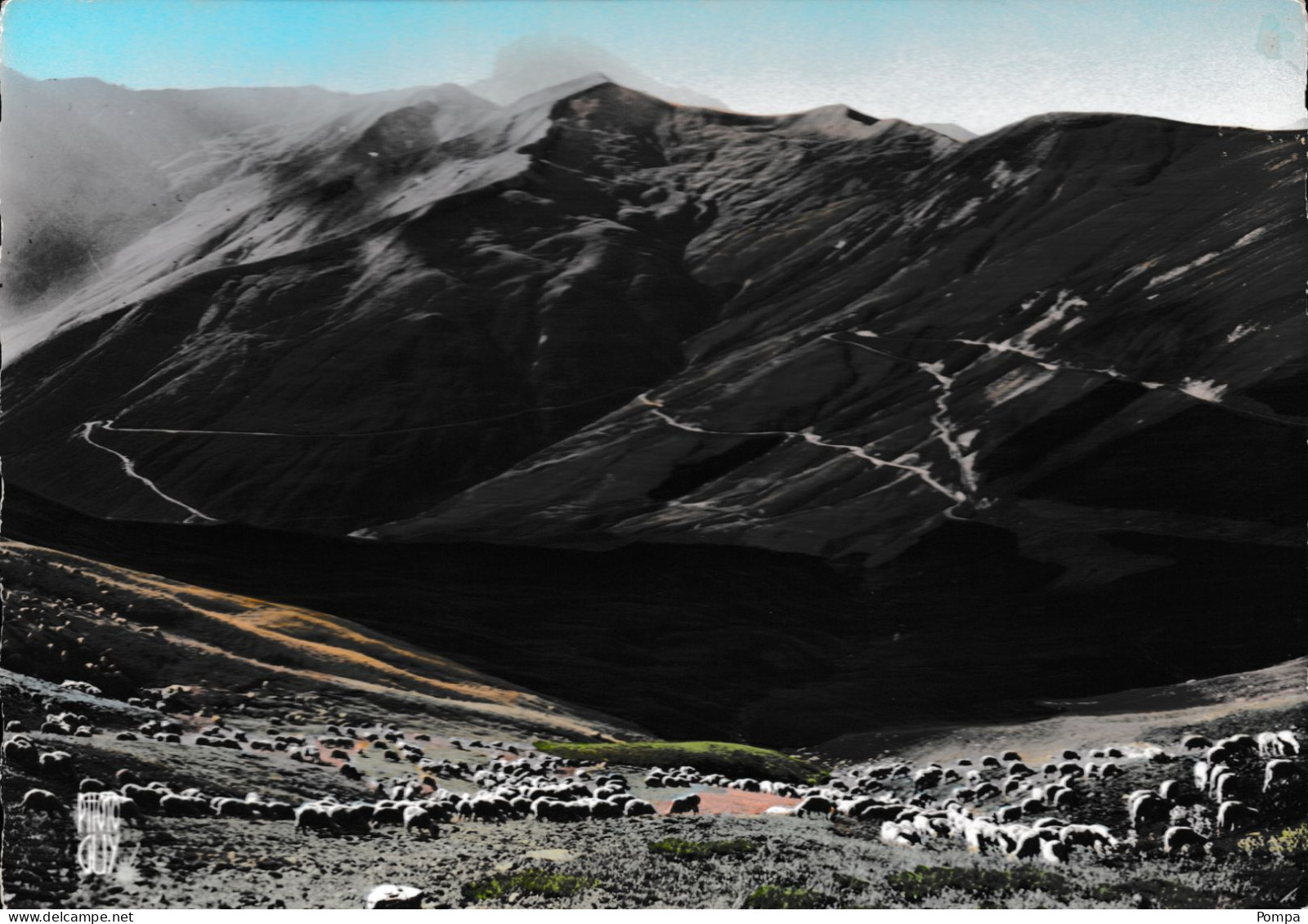 Allos - Paturages Au Col D'Allos, Les Lacets Du Col Et Au Loin Grande Séolane - Sonstige & Ohne Zuordnung