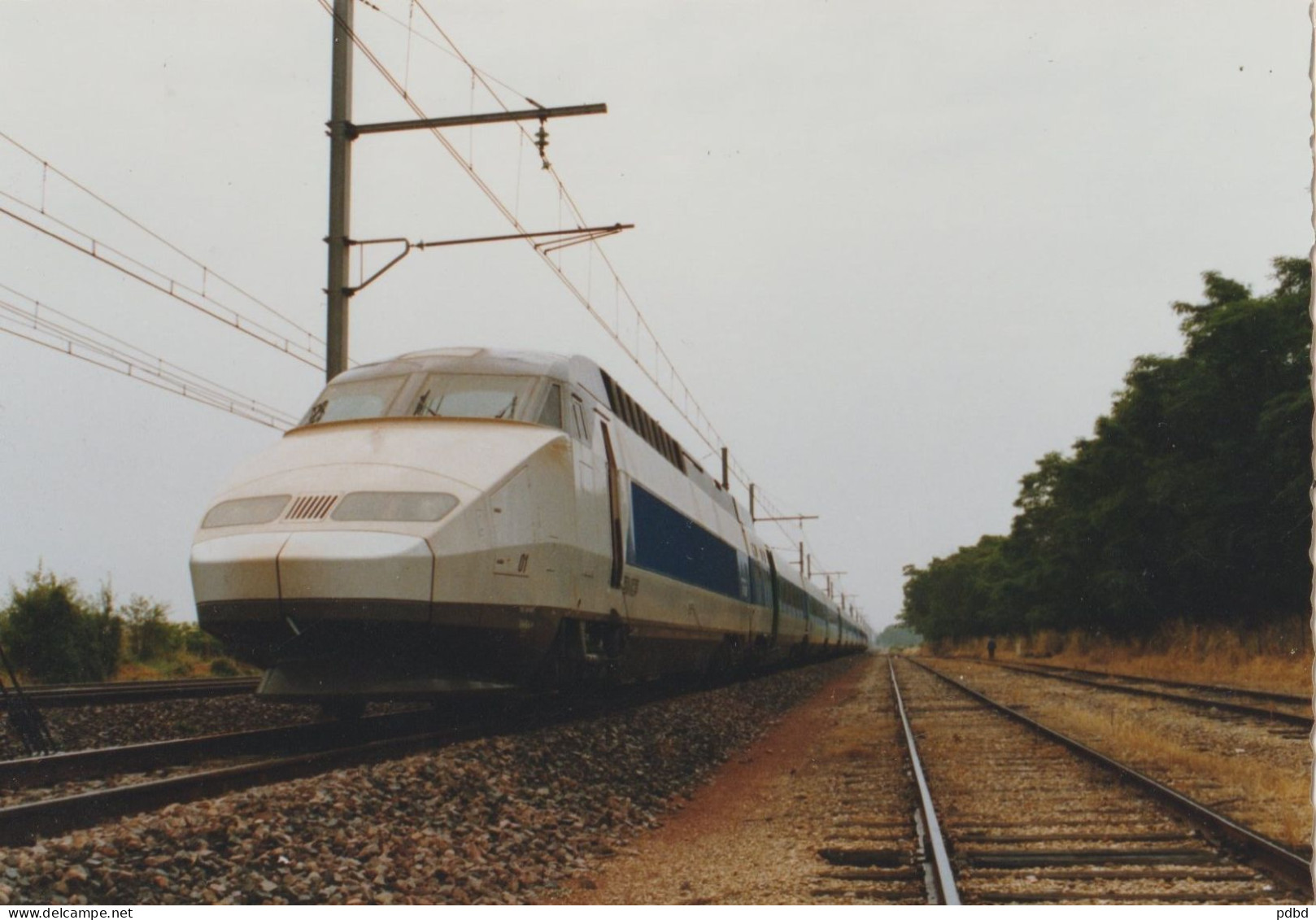 TGV 61 . Genlis . Sud-Est . Essai 1ère Rame TGV . 07 07 1988 . Tirage Optique Sociale . N)6:8875 ; - Trains