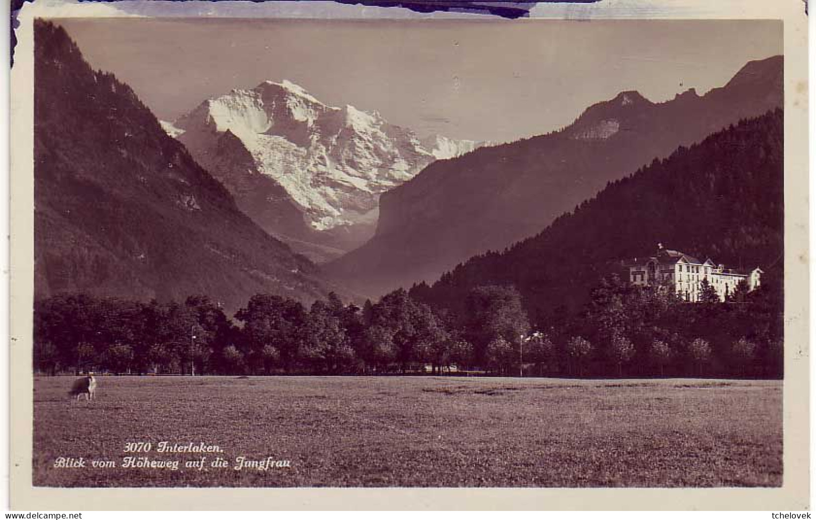 (99). Suisse. Berne. Bern. Interlaken. 3070. Blick Aus Die Jungfrau & 442 &écrite 1918 - Berne