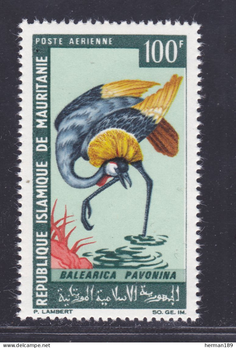 MAURITANIE AERIENS N°   64 ** MNH Neuf Sans Charnière, TB (D7583) Oiseaux - 1967 - Mauritanie (1960-...)