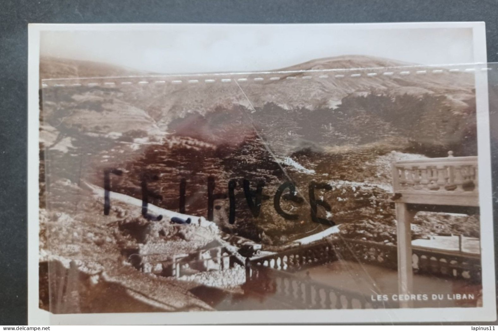 LIBAN CEDAR LES CEDRES PANORAMA POSTCARD VINTAGE NEW #1/204 - Libanon